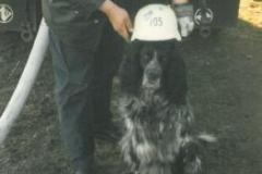 Einsätze 1990 bis 1999