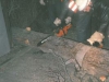 1990-01-25_einsatz-sturm-2