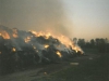 1991-04-12_einsatz-strohmietenbrand-3