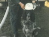 1991-04-12_einsatz-strohmietenbrand-4