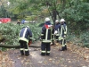 28. Oktober 2013: Einsätze nach Orkantief Christian